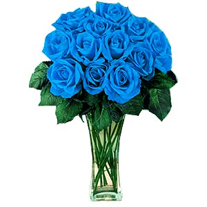 12-blue-roses.jpg